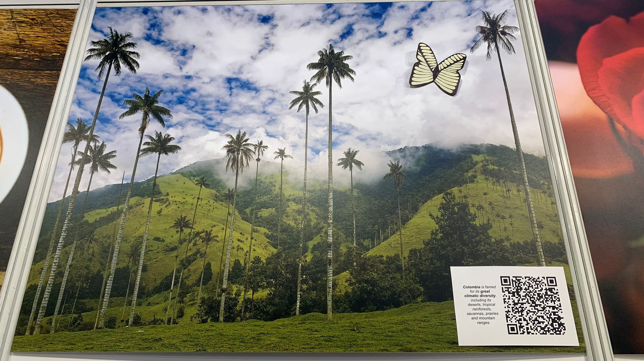 Colombia participa en la Feria del Libro de Hong Kong